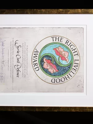 the alternative nobel