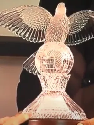 Tipperary peace Award