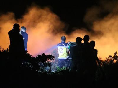 الحرائق الحراجية في ريف اللاذقية تشكّل العدد الأكبر من الحرائق التي استجابت لها فرق الإطفاء في عموم سوريا 