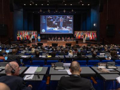 The Fifth Review Conference of the Organization for the Prohibition of Chemical Weapons
