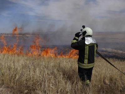 مع بداية موسم الحصاد… كابوس الحرائق يهدد المحاصيل والمزروعات