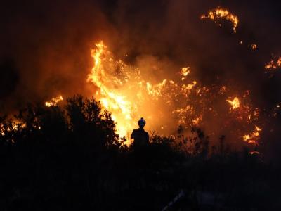 حريق حراجي ضخم في منطقة الدرية غربي إدلب …وفرقنا تخمده بعد 10 ساعات من العمل