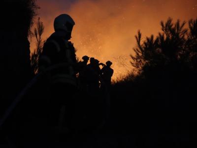 حريق حراجي ضخم في دير عثمان غربي إدلب …وفرق الإطفاء تسيطر عليه بعد 9 ساعات من العمل المتواصل