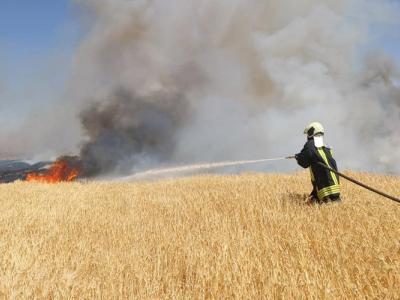 فرق الإطفاء تضع خطة للاستجابة للحرائق الزراعية