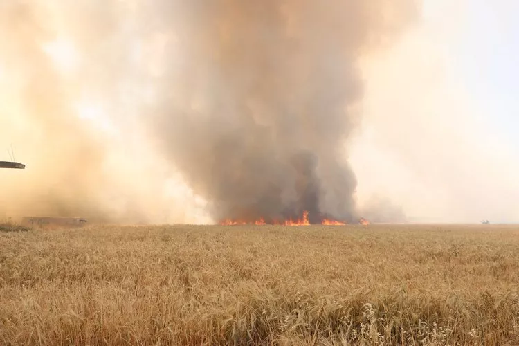A Statement from White Helmets: Commitment to Extinguishing Agricultural Crop Fires and Safeguarding Food Security across Syrian Regions